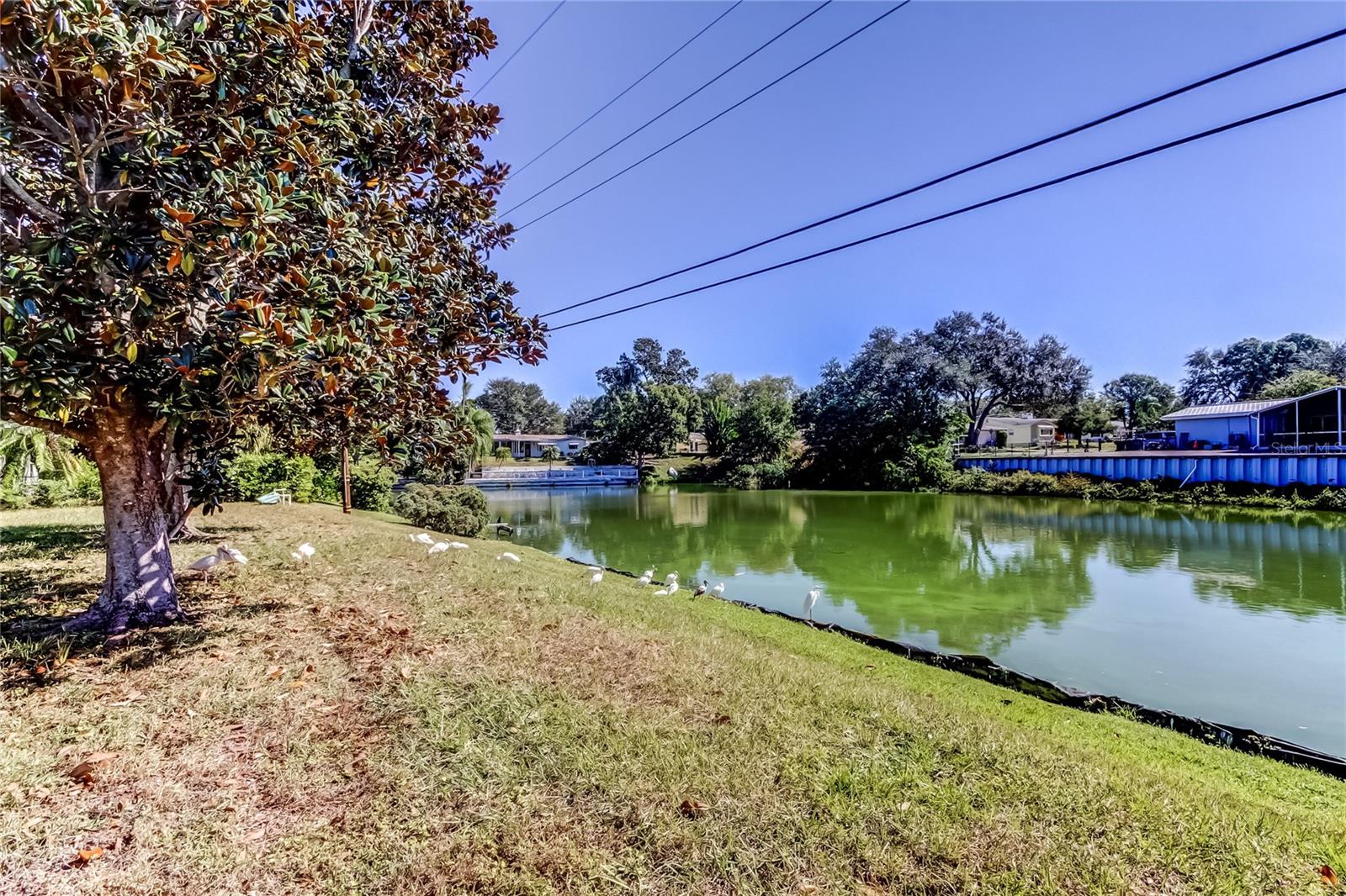 2364 6TH AVE SW, LARGO, FL, 33770