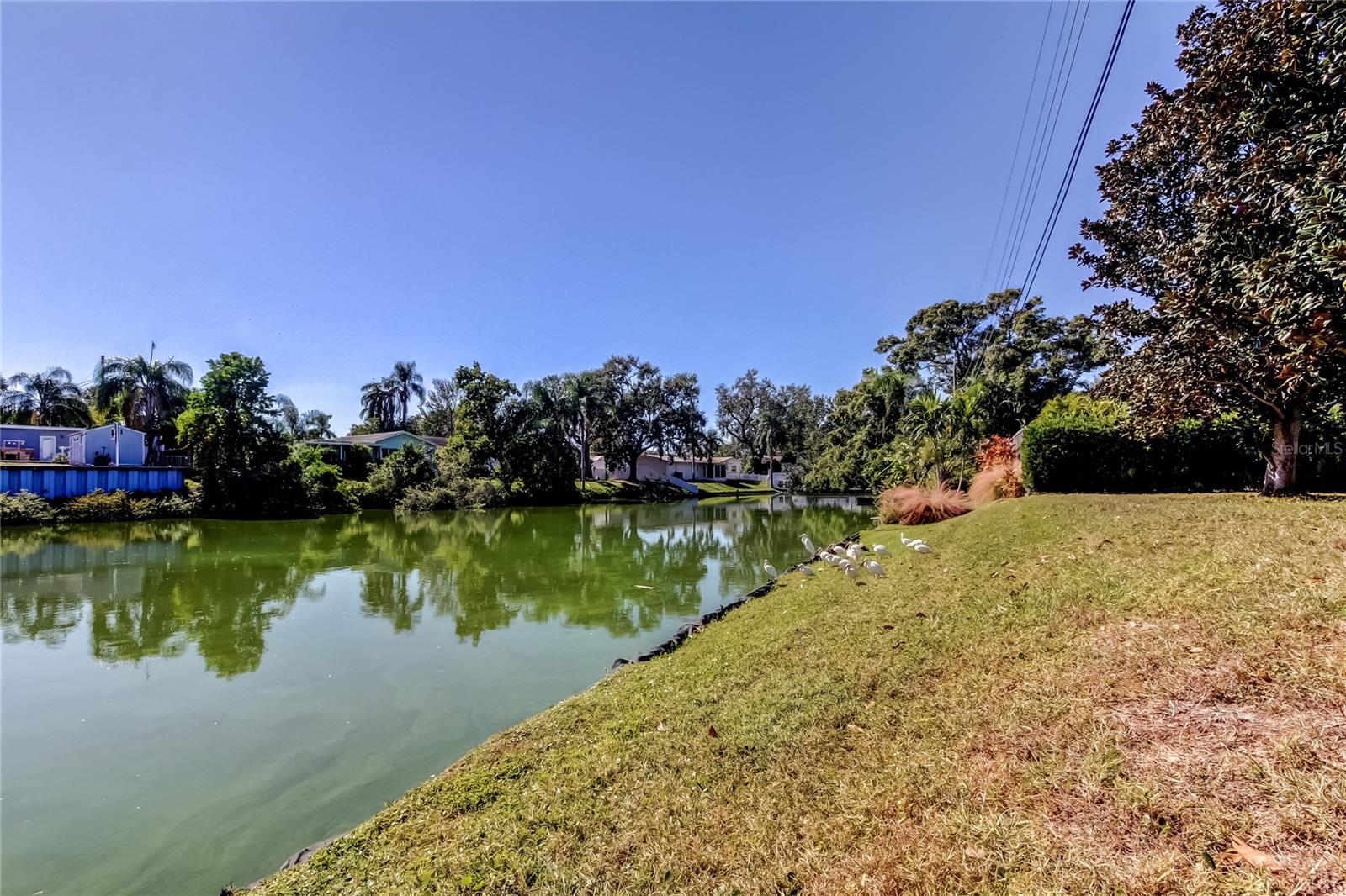 2364 6TH AVE SW, LARGO, FL, 33770