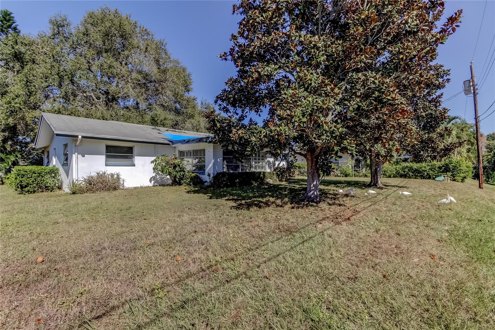 2364 6TH AVE SW, LARGO, FL, 33770