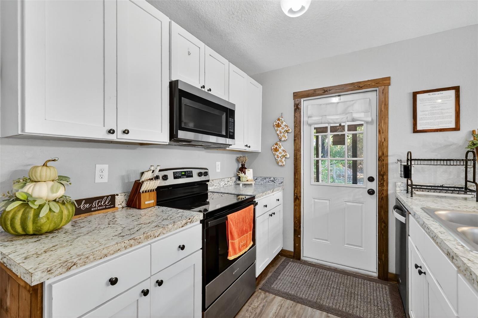 13 BAY COURT RUN, OCKLAWAHA, FL, 32179