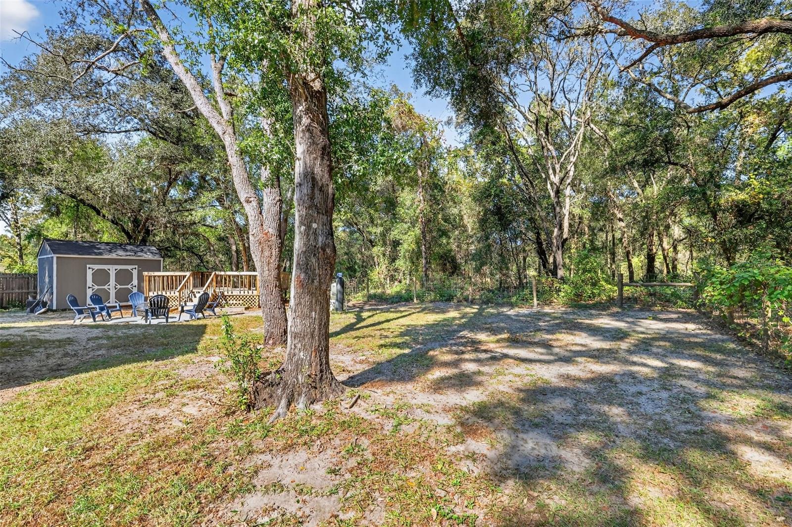 13 BAY COURT RUN, OCKLAWAHA, FL, 32179