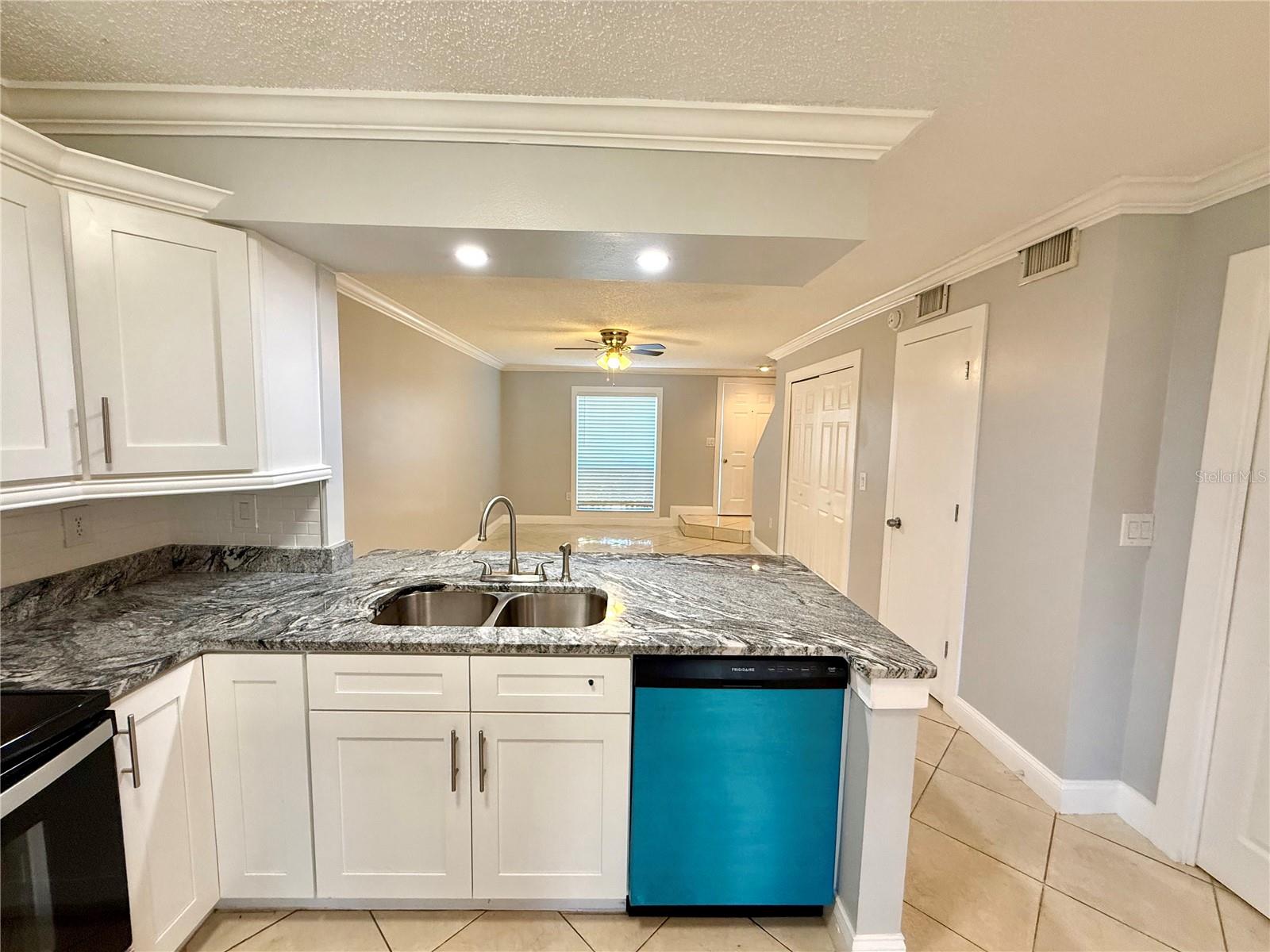 11913 CYPRESS HILL CIR, TAMPA, FL, 33626