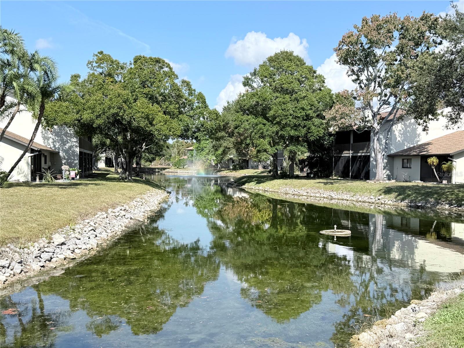 1909 WHITNEY WAY, CLEARWATER, FL, 33760