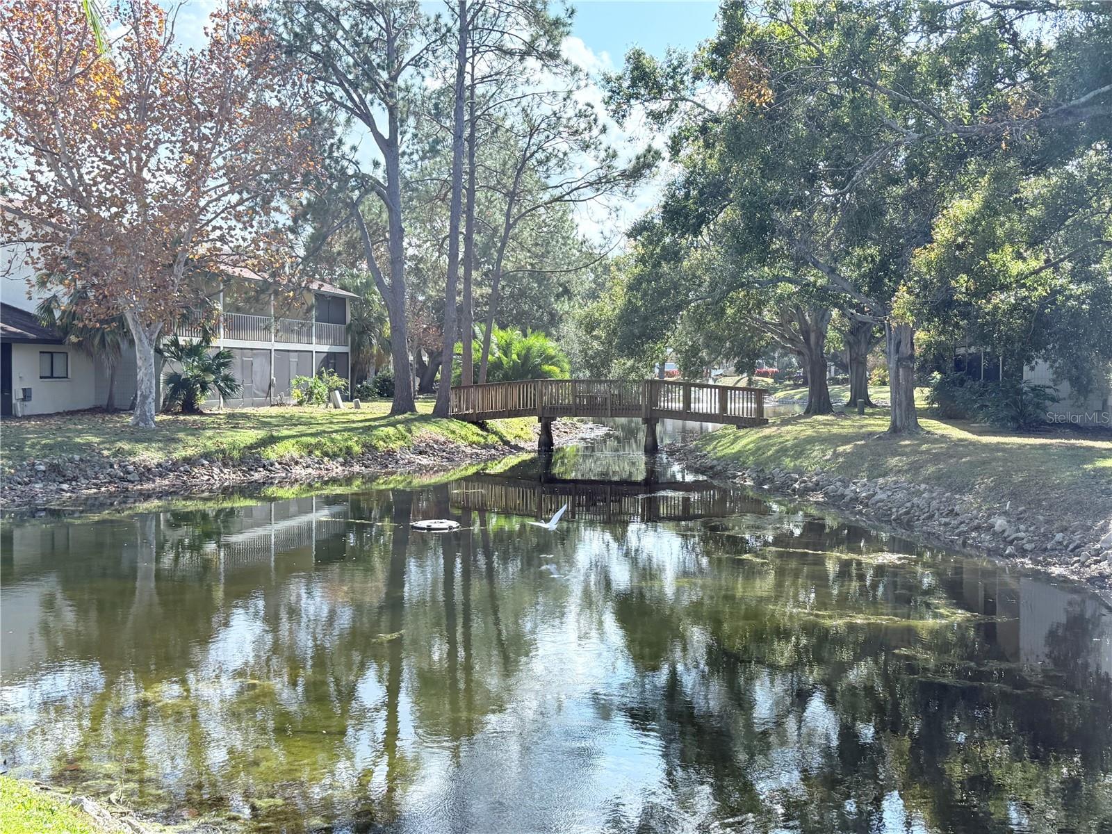 1909 WHITNEY WAY, CLEARWATER, FL, 33760