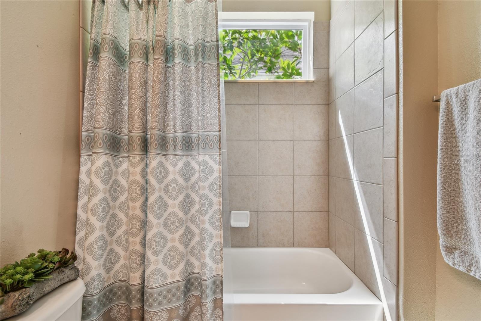 11307 QUIET FOREST DR, TAMPA, FL, 33635