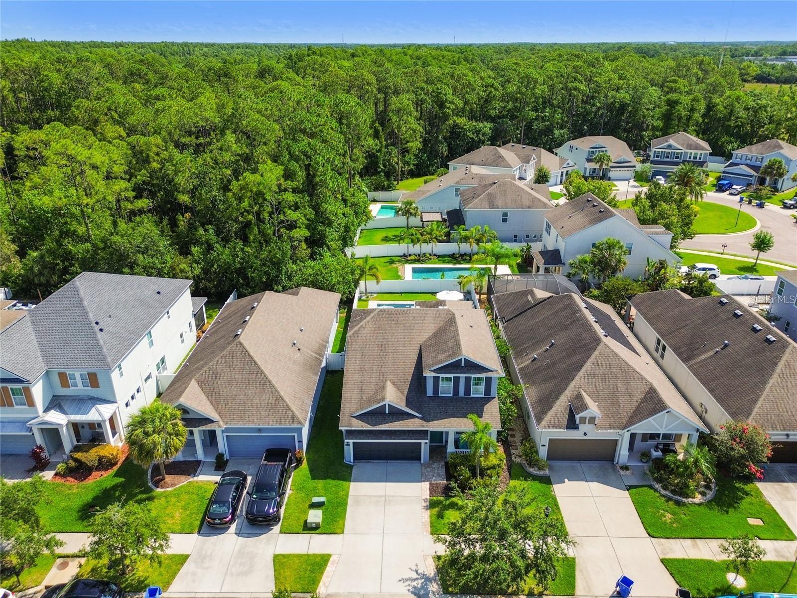 11307 QUIET FOREST DR, TAMPA, FL, 33635