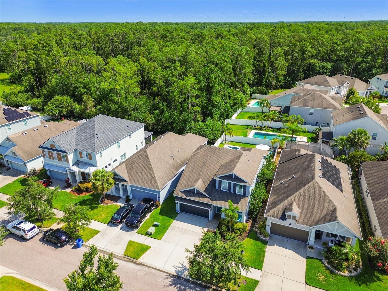 11307 QUIET FOREST DR, TAMPA, FL, 33635