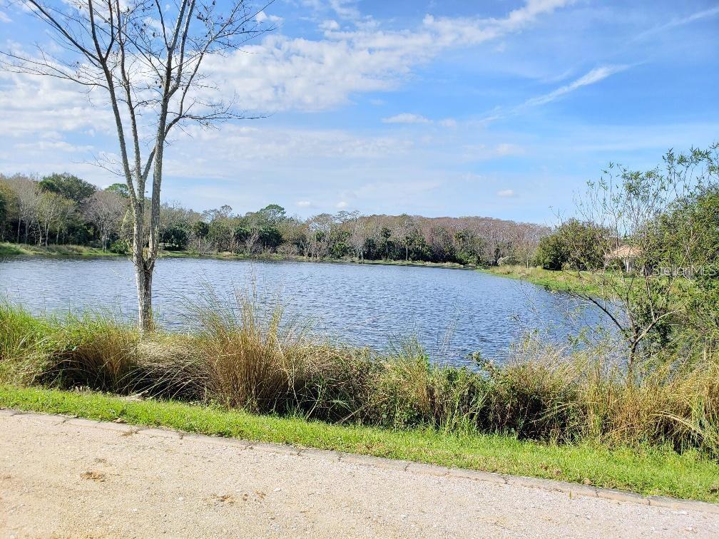 2 BLUE OAK LN, PALM COAST, FL, 32137