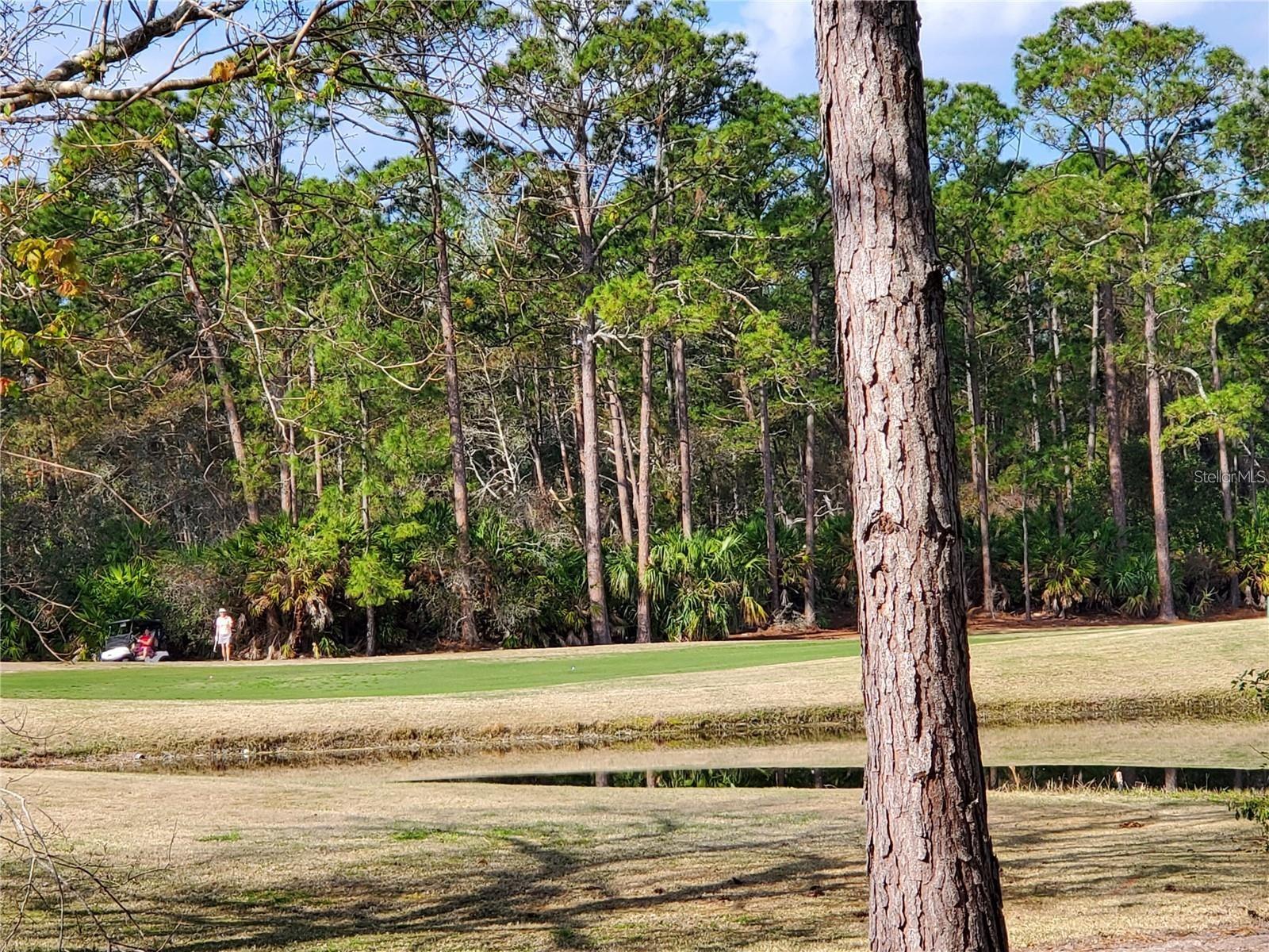 2 BLUE OAK LN, PALM COAST, FL, 32137