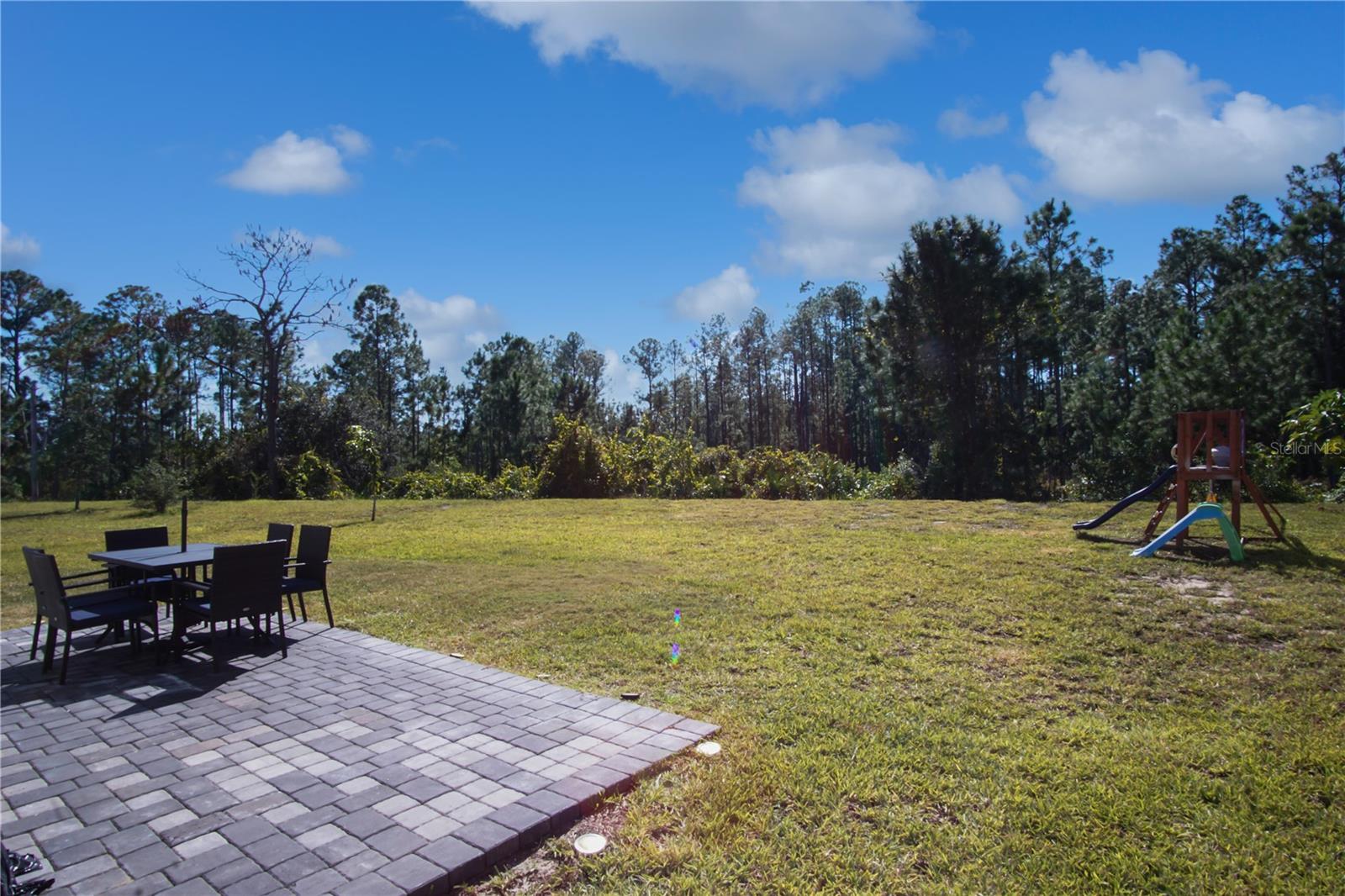 1171 OAK BLUFF DR, DAVENPORT, FL, 33837