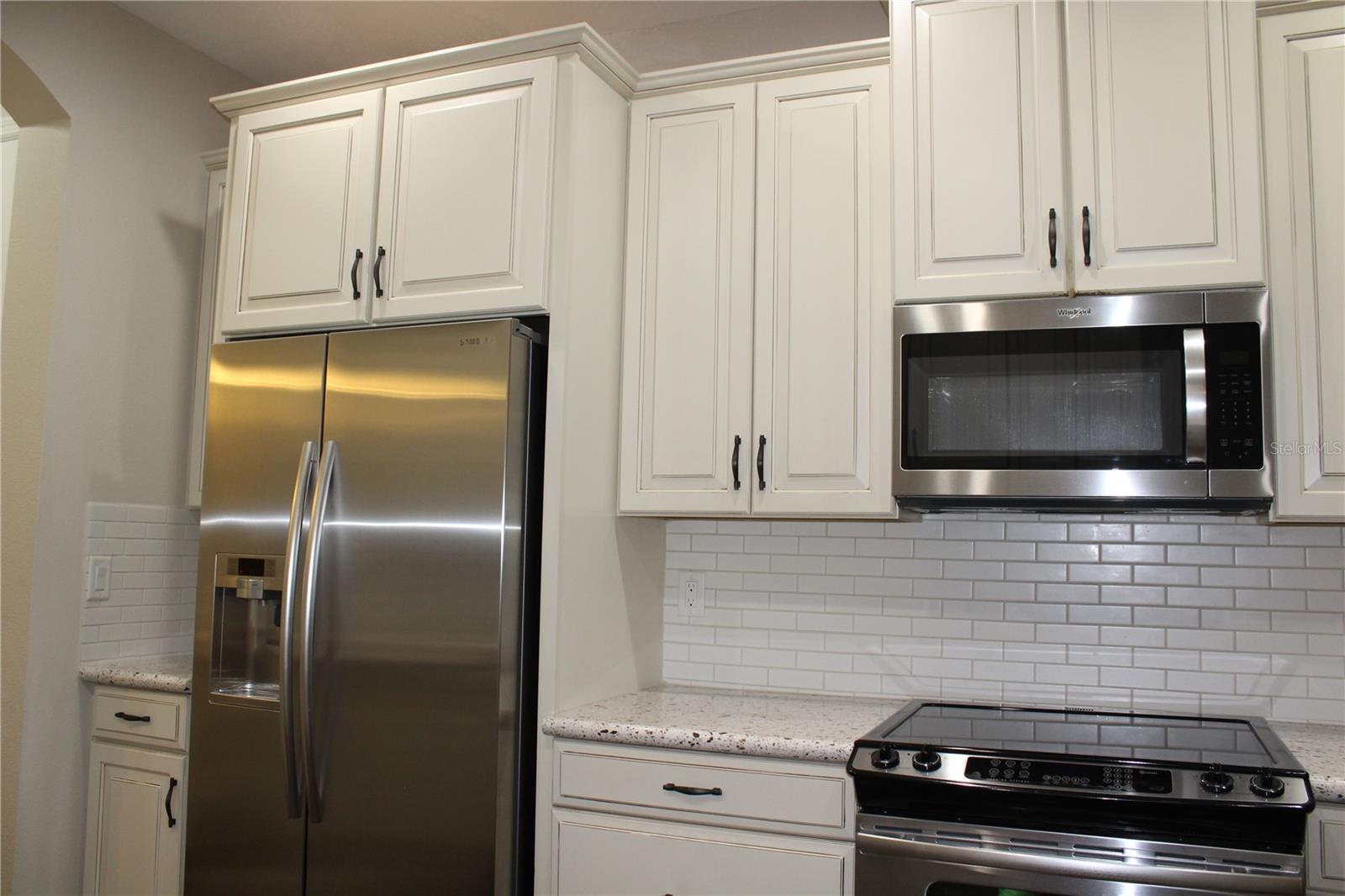 131 VILLA PRESERVE AVE, LUTZ, FL, 33548