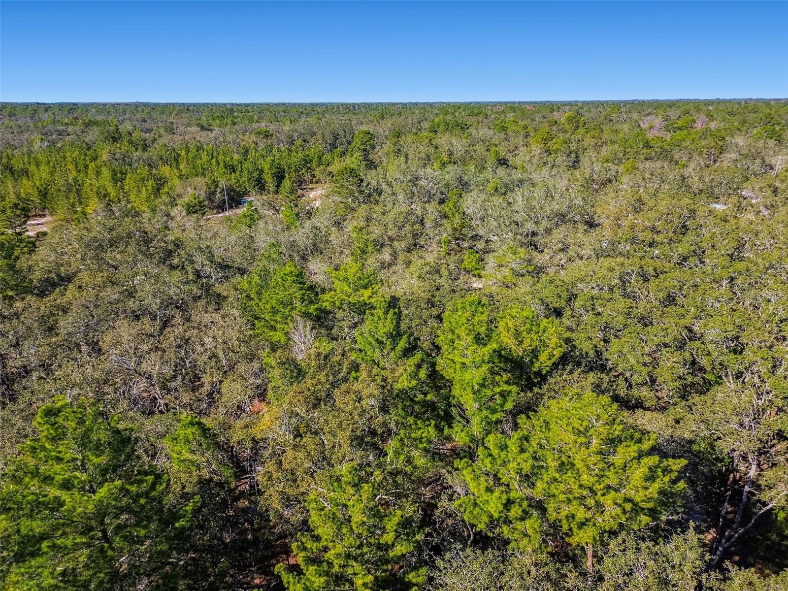 12015 GLADWIN AVE, HUDSON, FL, 34667