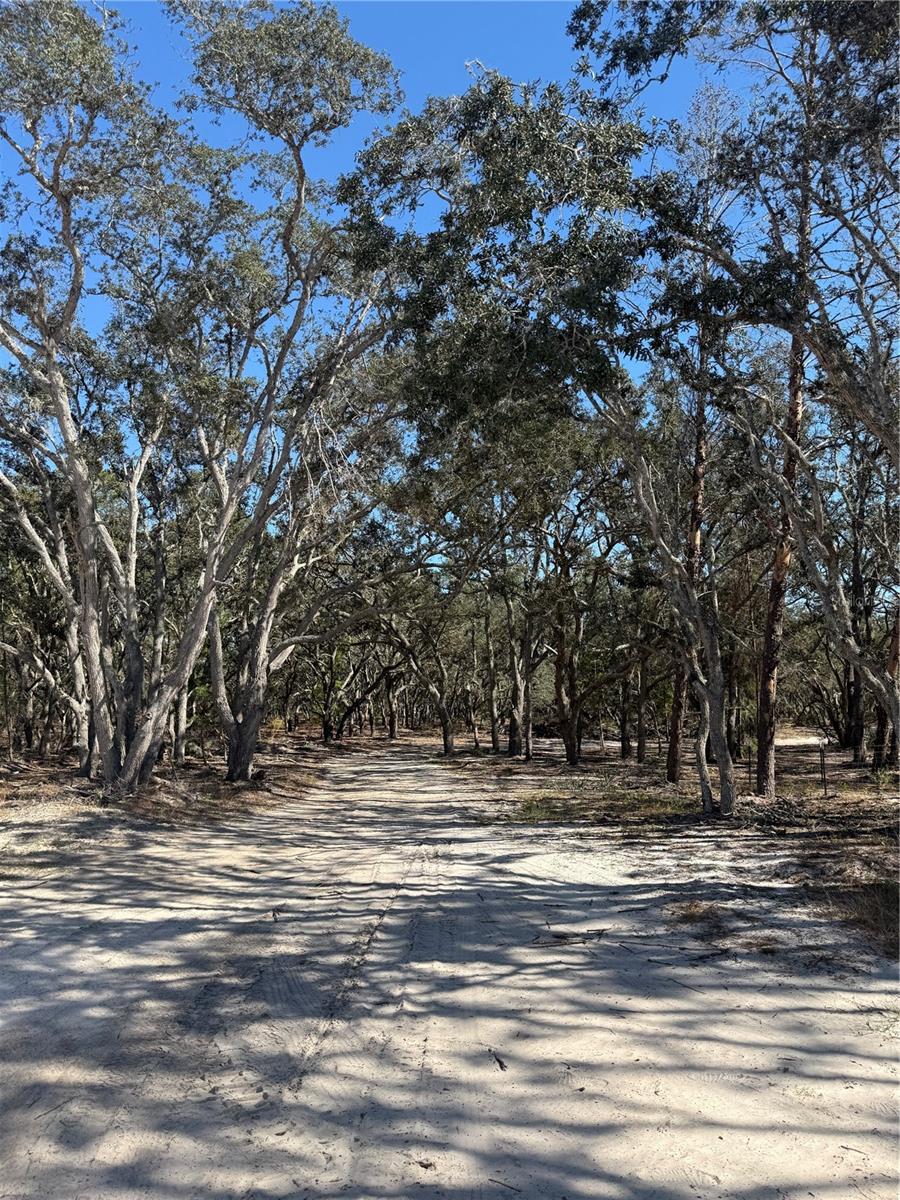 12015 GLADWIN AVE, HUDSON, FL, 34667