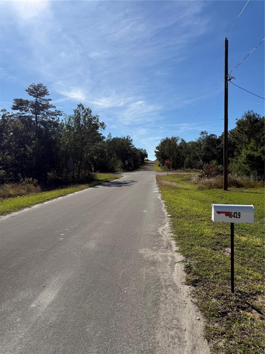 16429 SE 115TH PLACE RD, OCKLAWAHA, FL, 32179