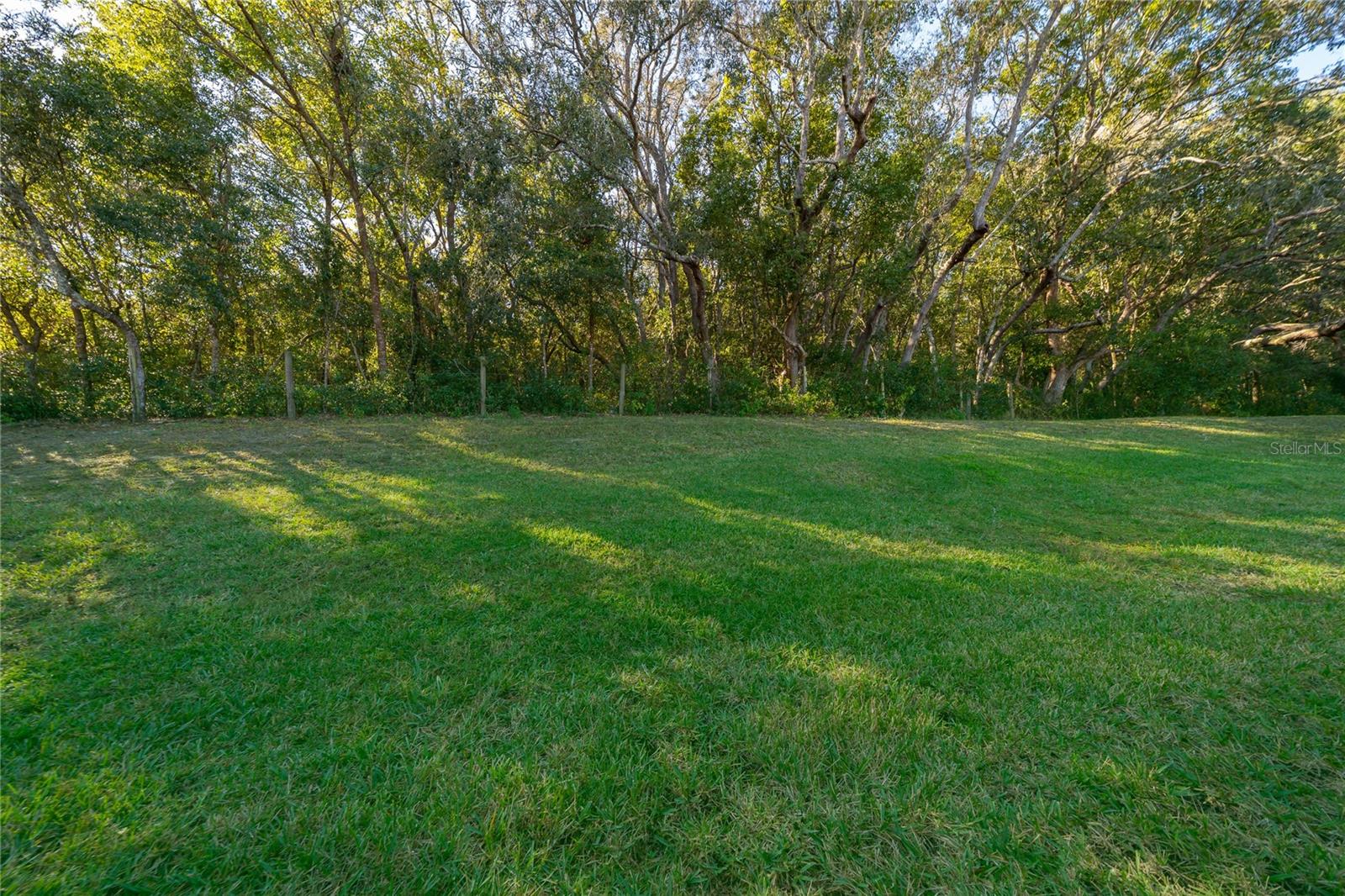 21612 BELGIAN CT, MOUNT DORA, FL, 32757