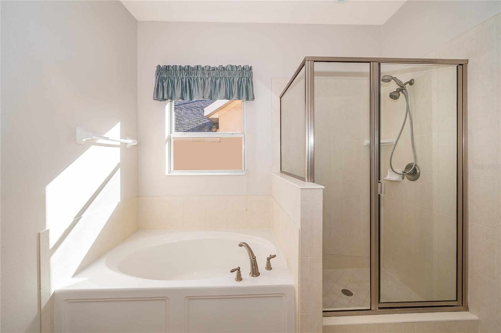 21612 BELGIAN CT, MOUNT DORA, FL, 32757