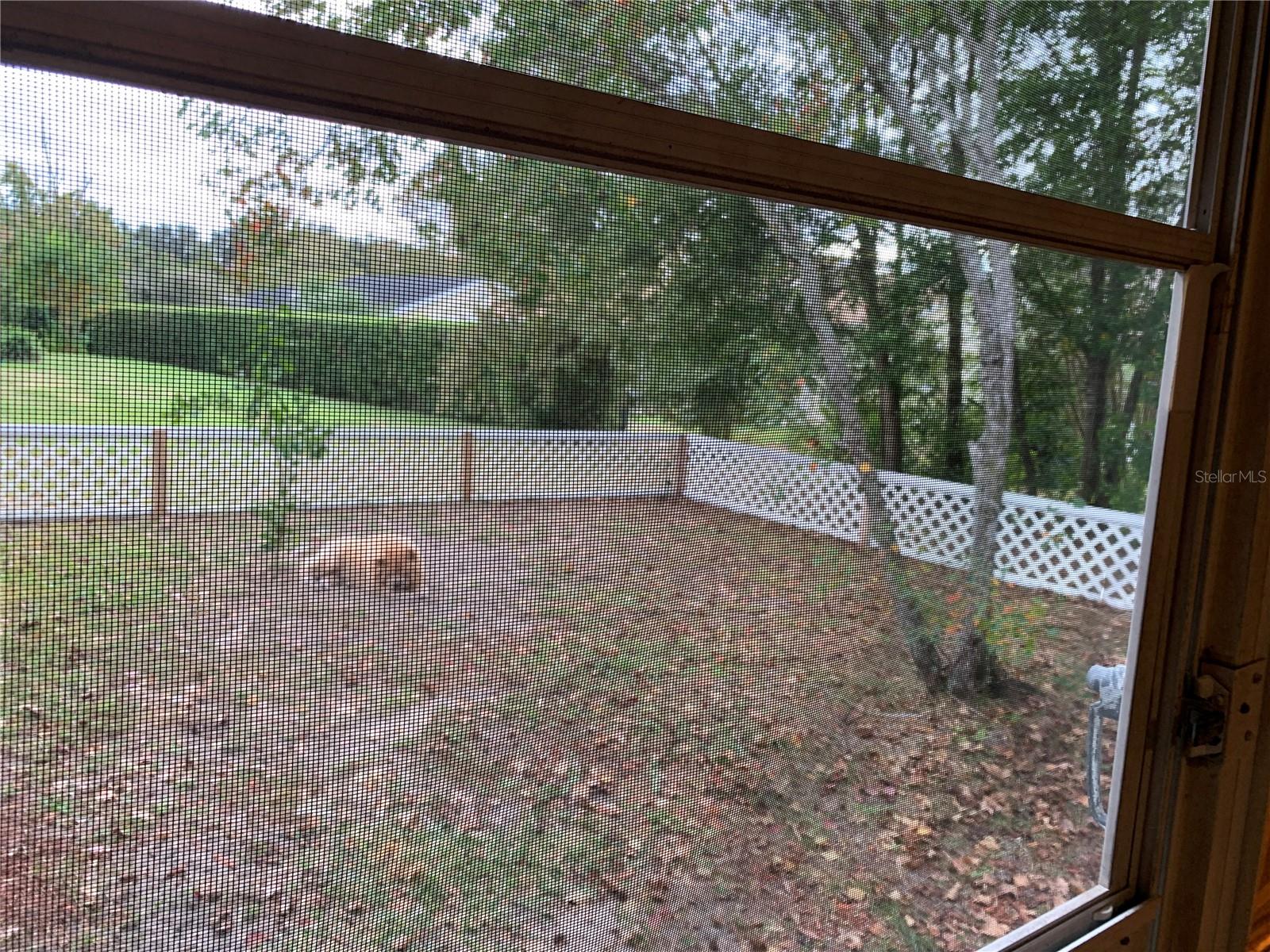 11440 SW 85TH AVE, OCALA, FL, 34481