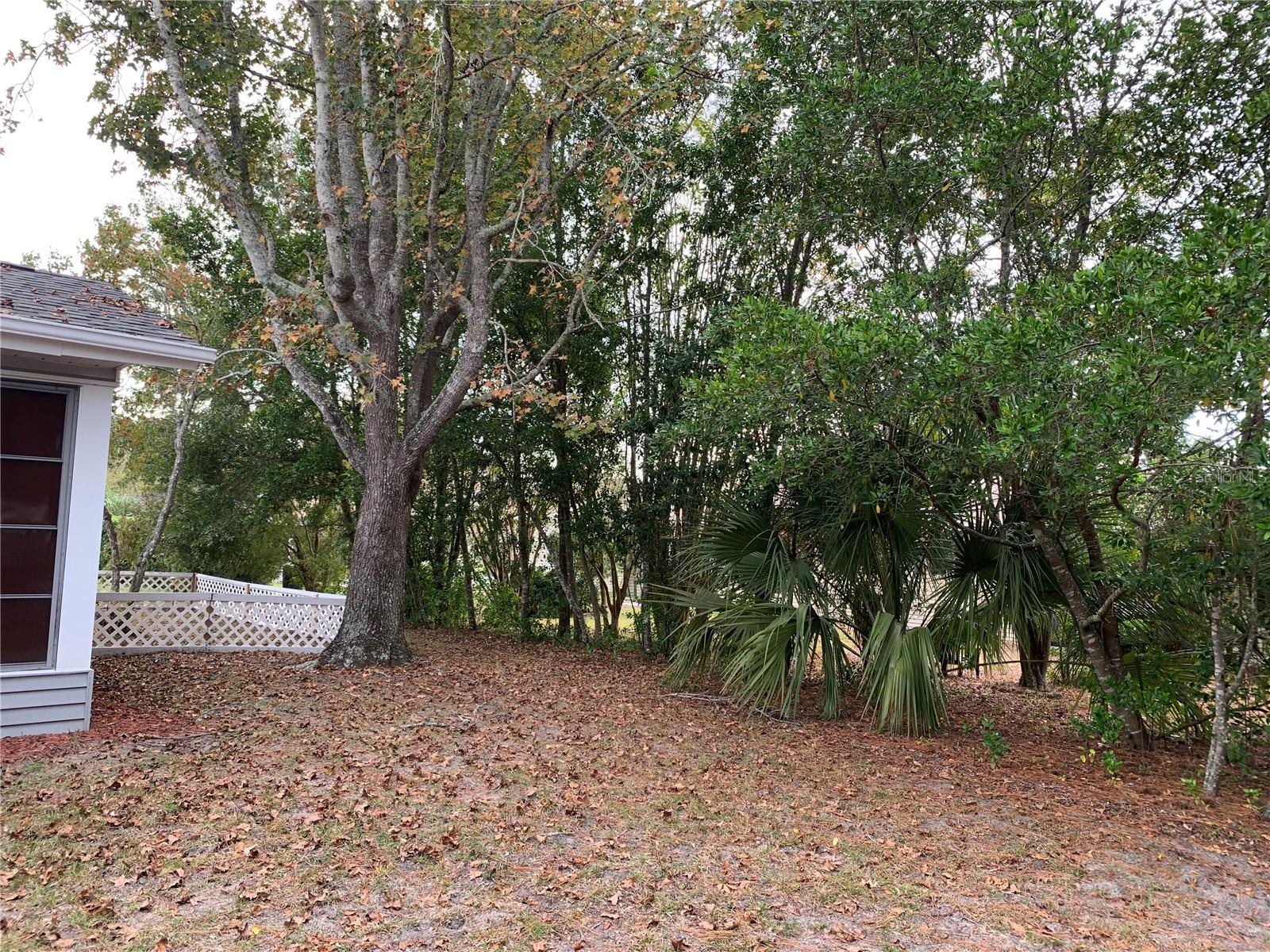 11440 SW 85TH AVE, OCALA, FL, 34481