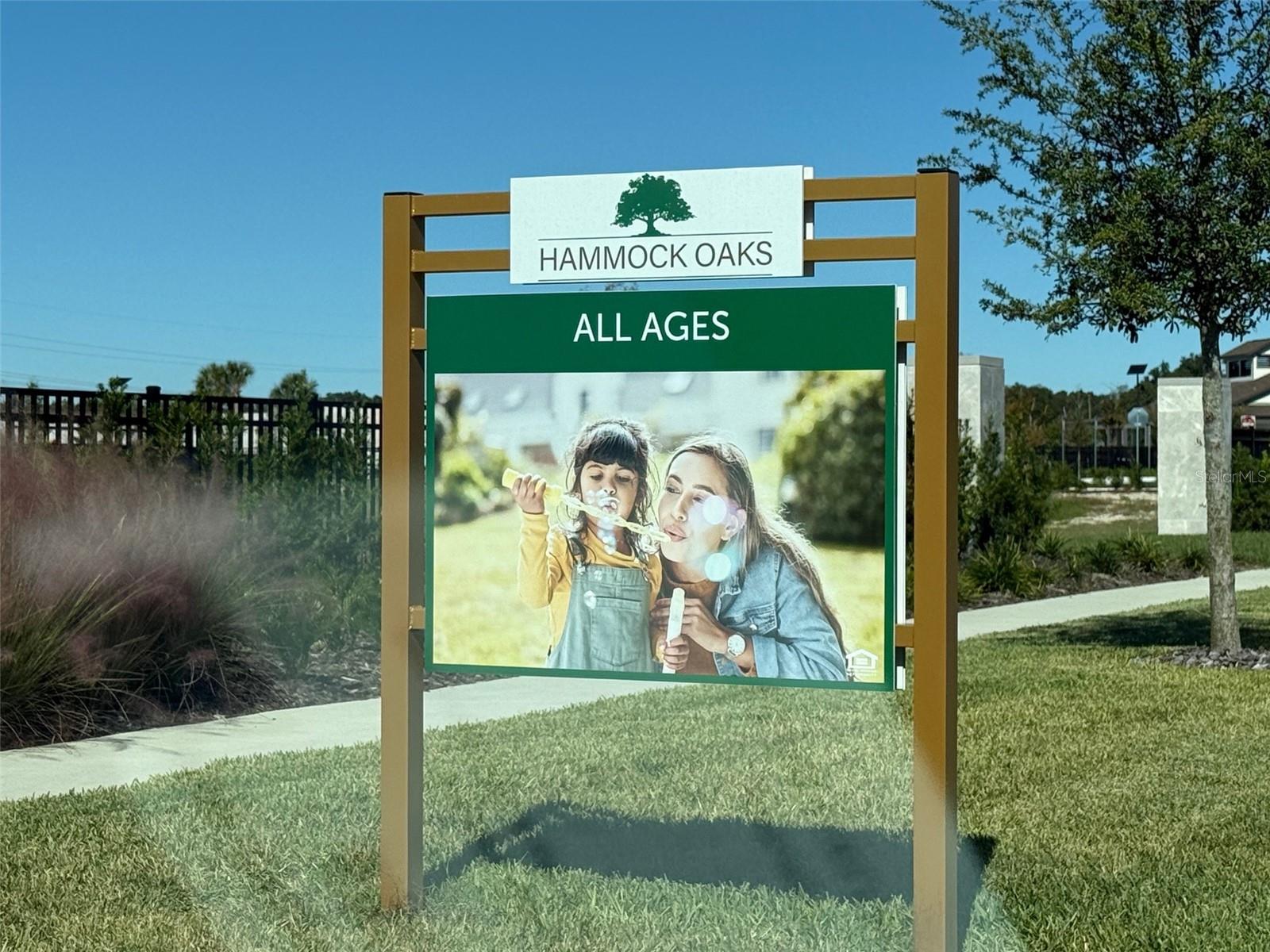 1198 PORT BLUE WAY, LADY LAKE, FL, 32159