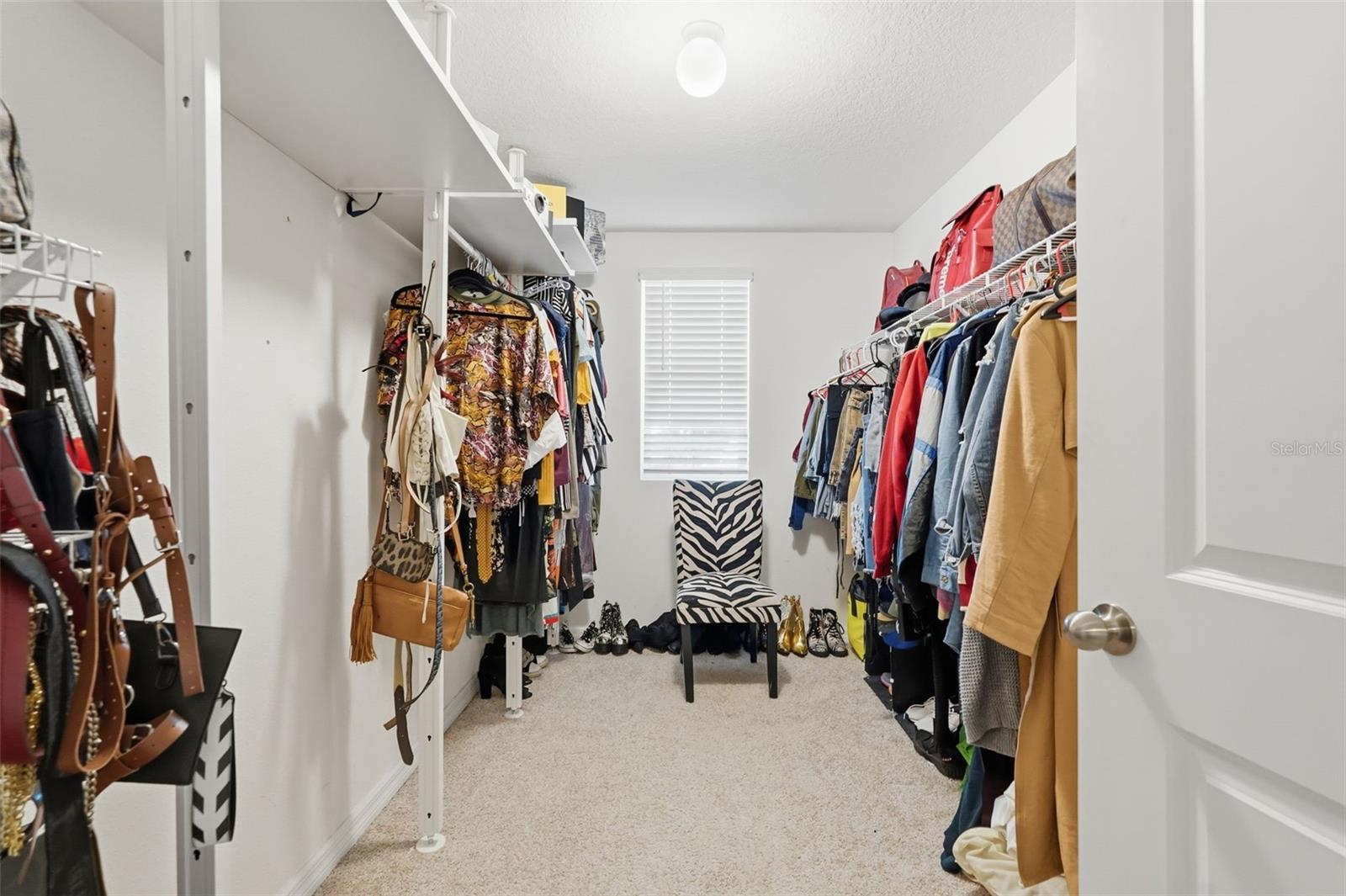 7811 DAVIE RAY DR, ZEPHYRHILLS, FL, 33540