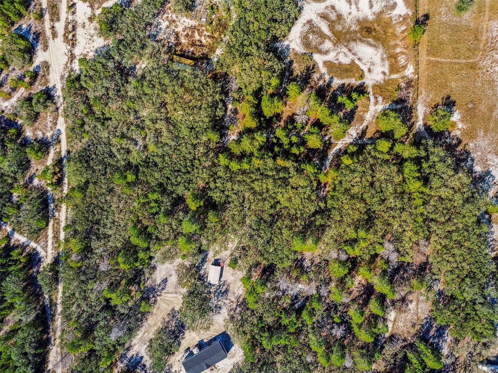 0 GLADWIN AVE, HUDSON, FL, 34667