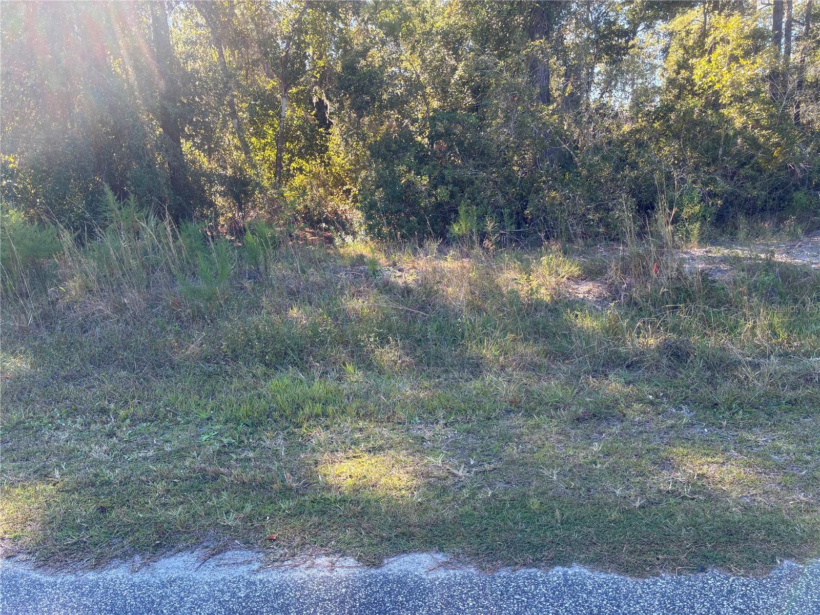 525 LIVE OAK LOOP, CRESCENT CITY, FL, 32112