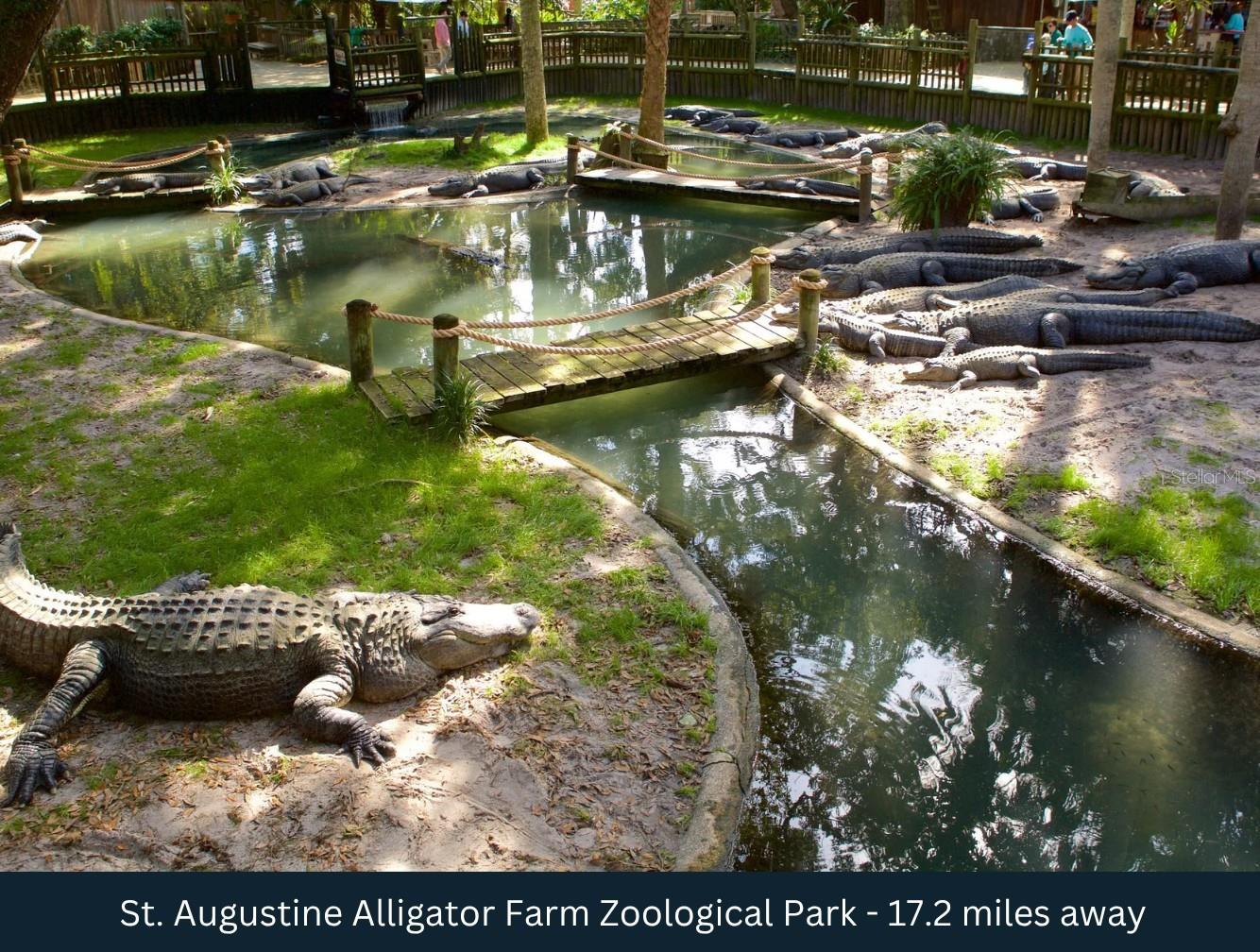 7170 OLD STATE ROAD 207, ELKTON, FL, 32033