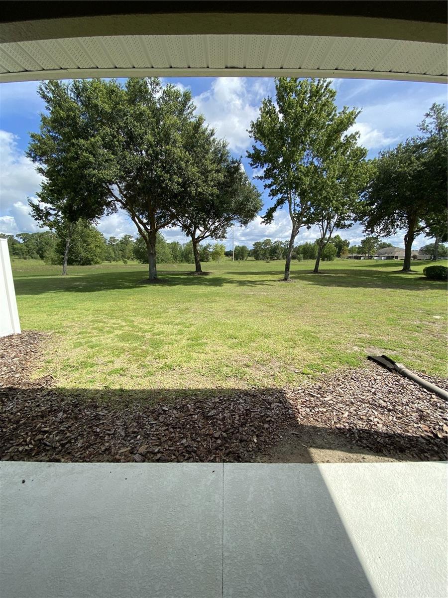 33614 CAMPEON CT, SORRENTO, FL, 32776