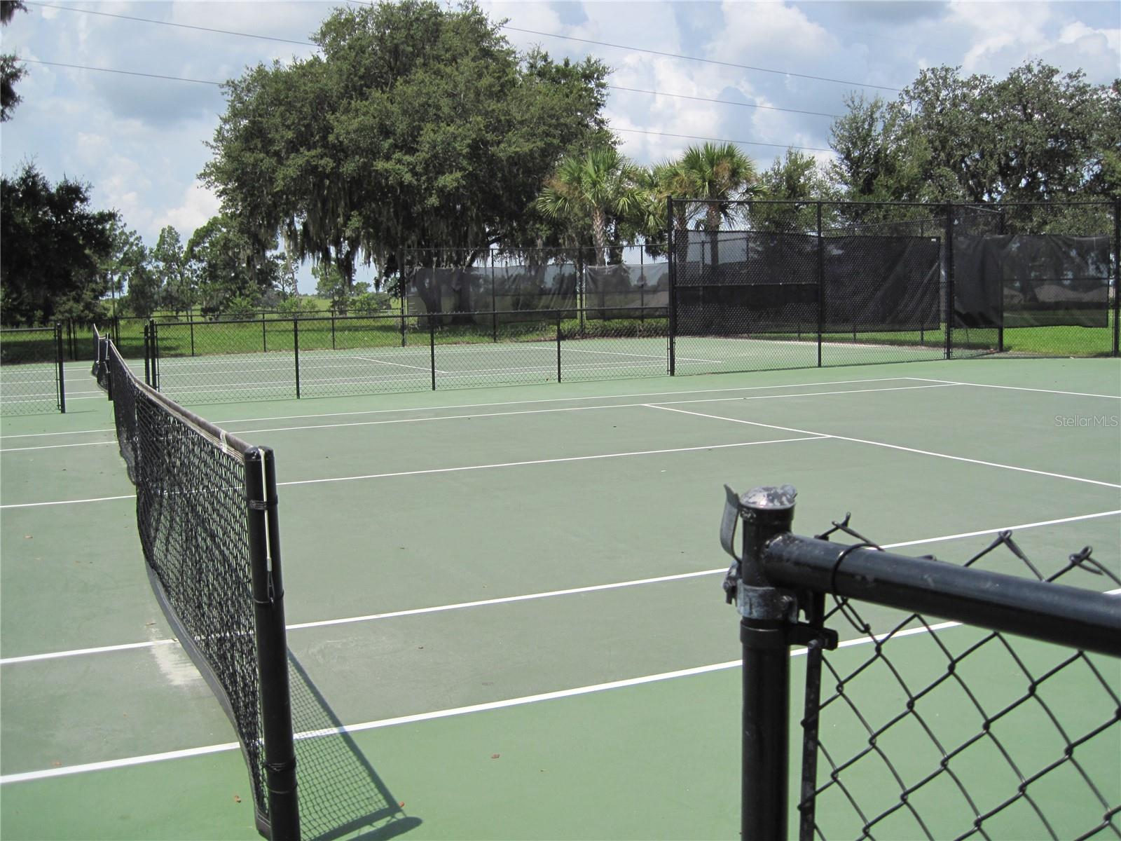 33614 CAMPEON CT, SORRENTO, FL, 32776