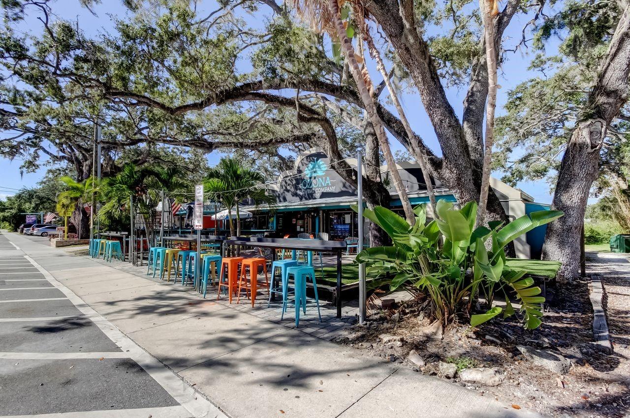 236 PINECREST DR, PALM HARBOR, FL, 34683