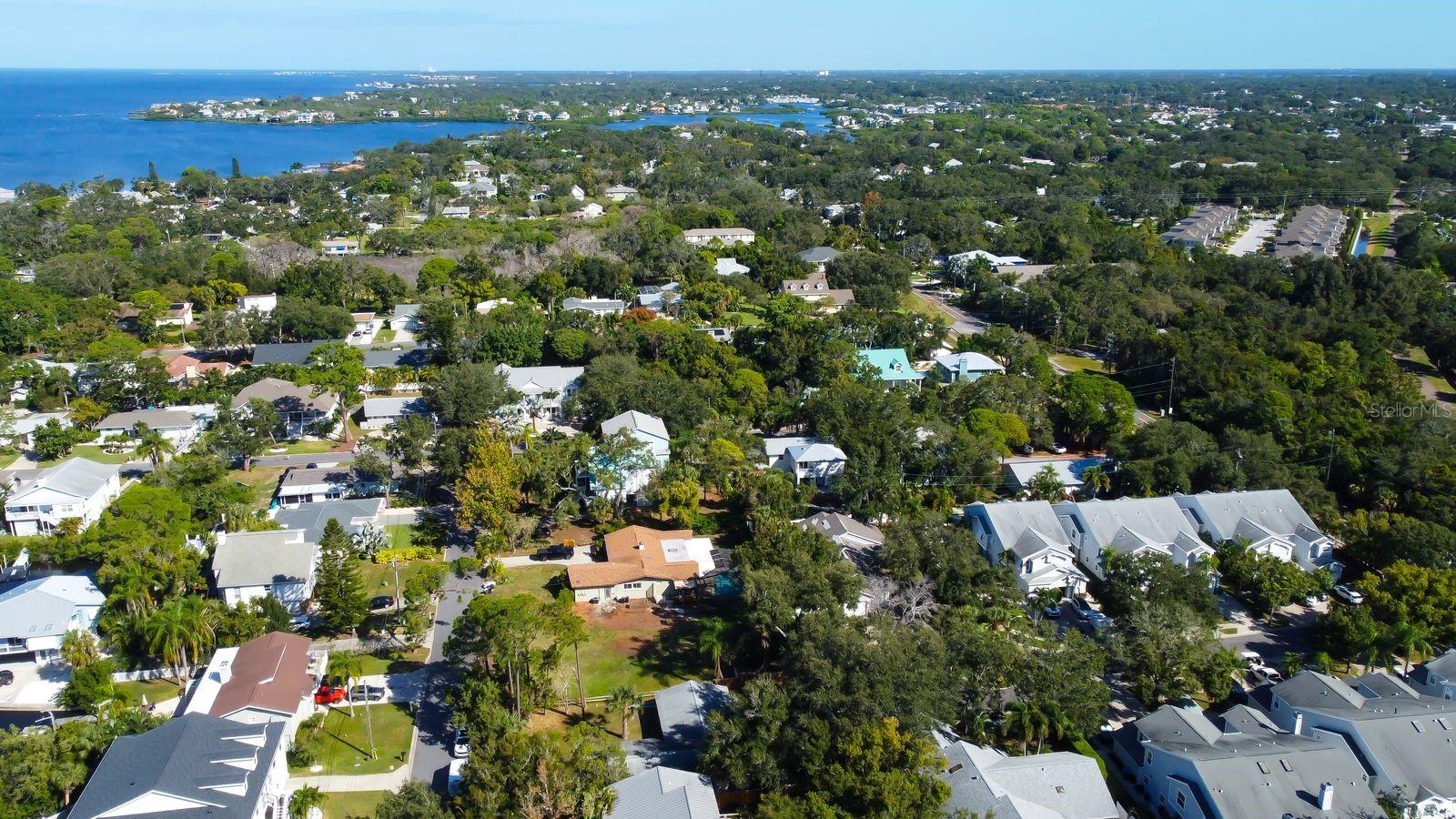 236 PINECREST DR, PALM HARBOR, FL, 34683