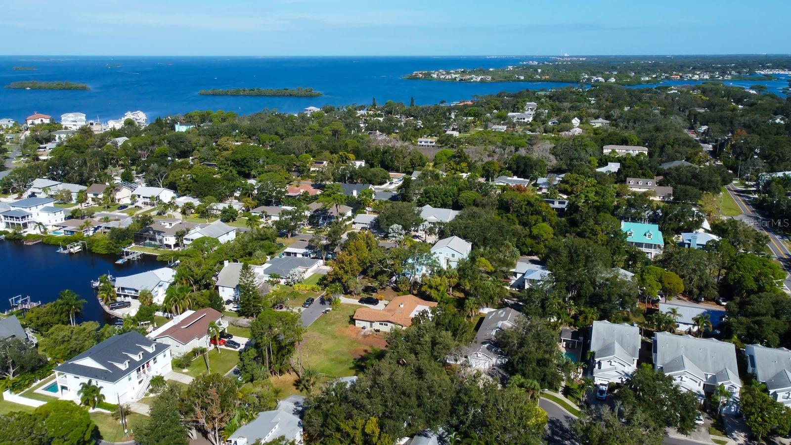 236 PINECREST DR, PALM HARBOR, FL, 34683