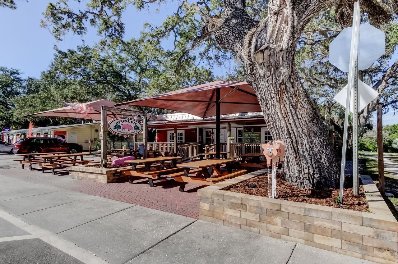 236 PINECREST DR, PALM HARBOR, FL, 34683