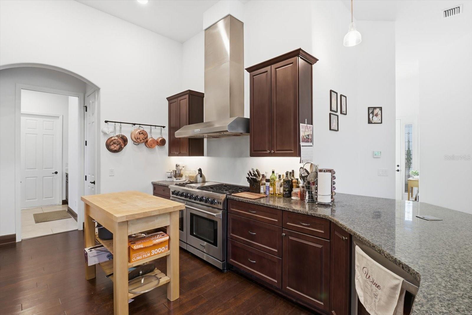 1173 W SKYMONT PATH, HERNANDO, FL, 34442