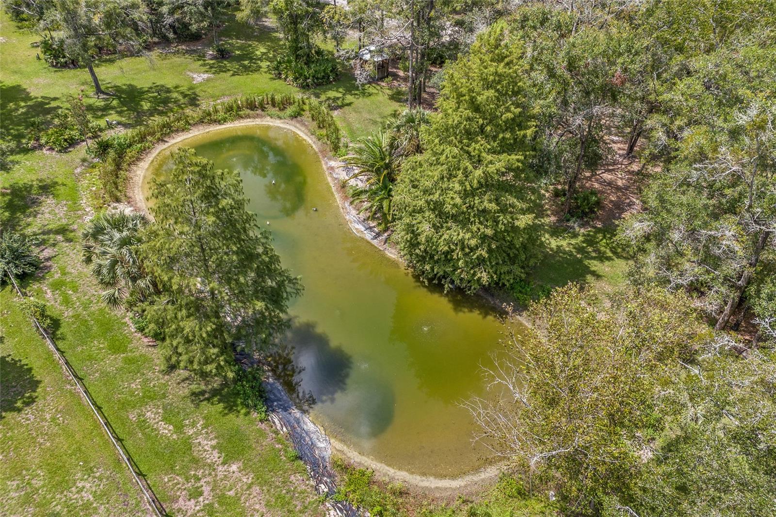 25743 NW 62ND AVE, HIGH SPRINGS, FL, 32643