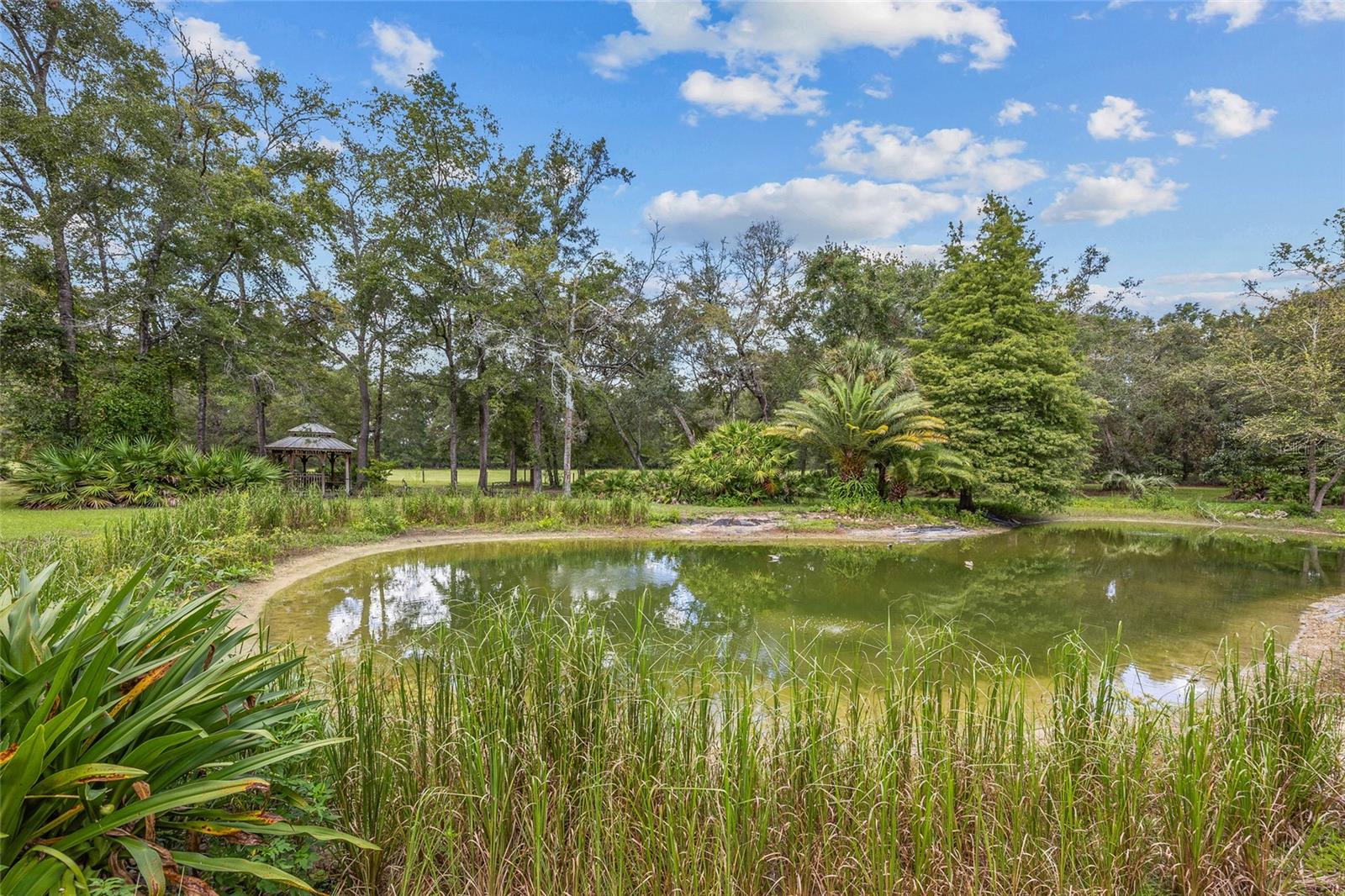 25743 NW 62ND AVE, HIGH SPRINGS, FL, 32643