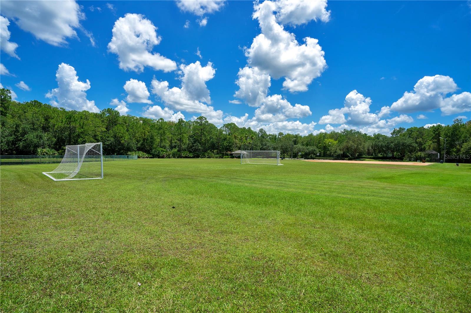 14858 HUNTLEY DR, ORLANDO, FL, 32828