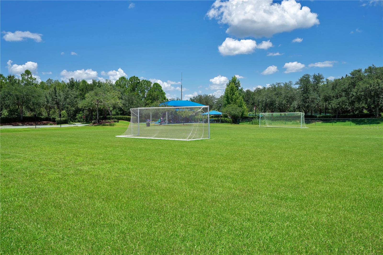 14858 HUNTLEY DR, ORLANDO, FL, 32828