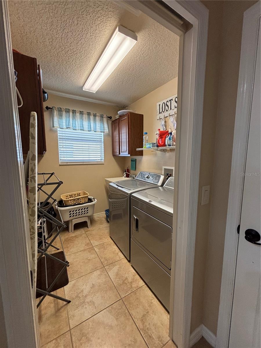 2924 FRENCH OAK AVE, THE VILLAGES, FL, 32163