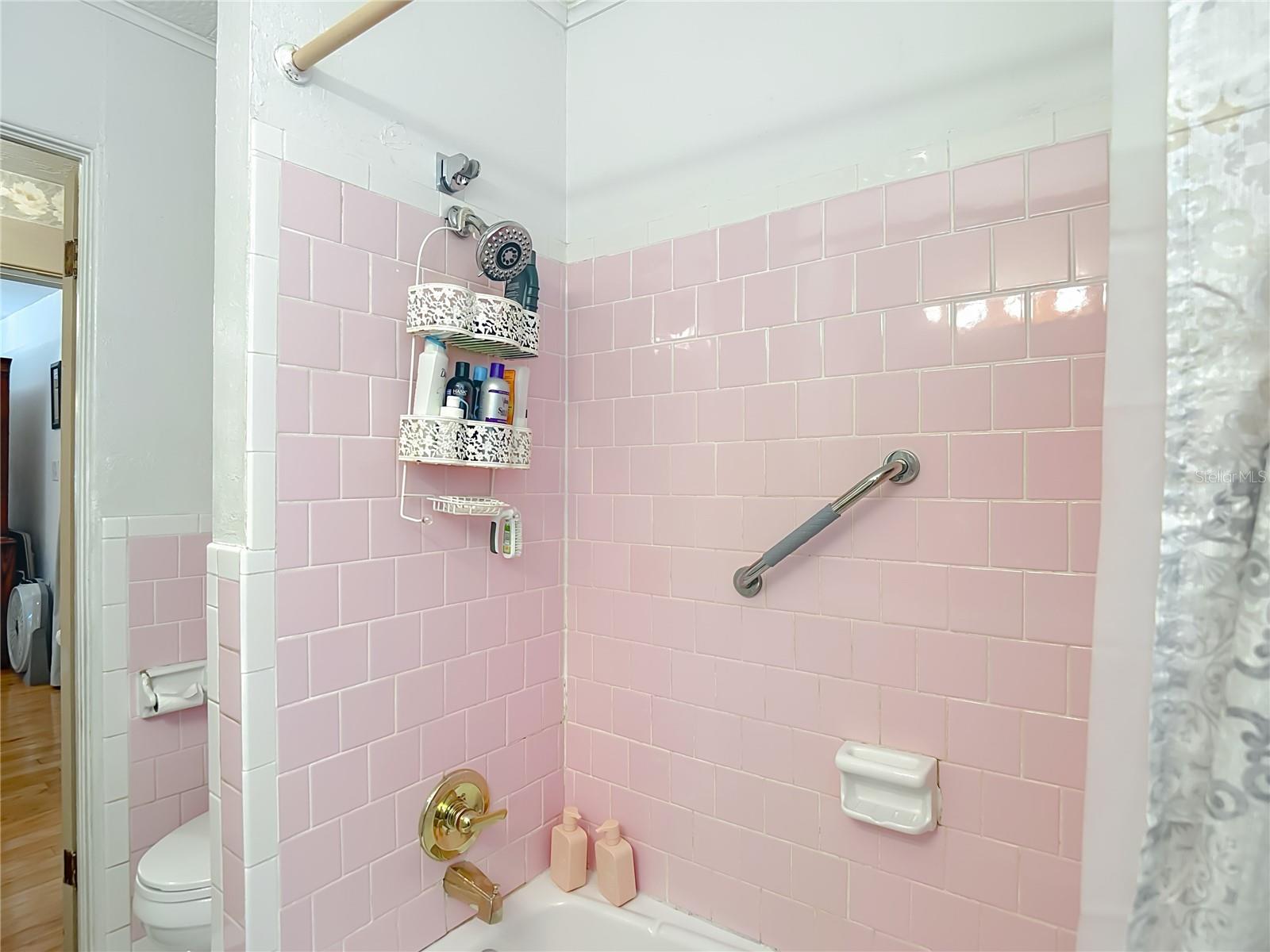 25007 HOLDEN DR, BROOKSVILLE, FL, 34601