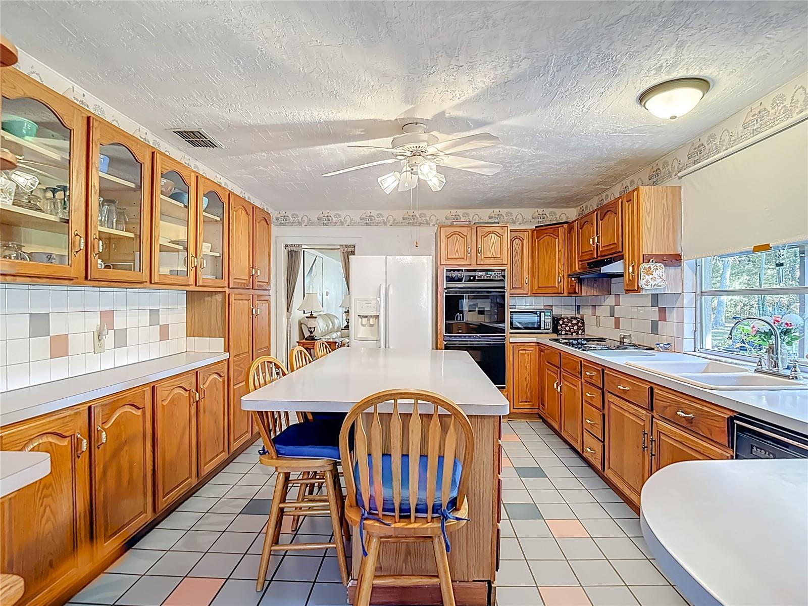 25007 HOLDEN DR, BROOKSVILLE, FL, 34601