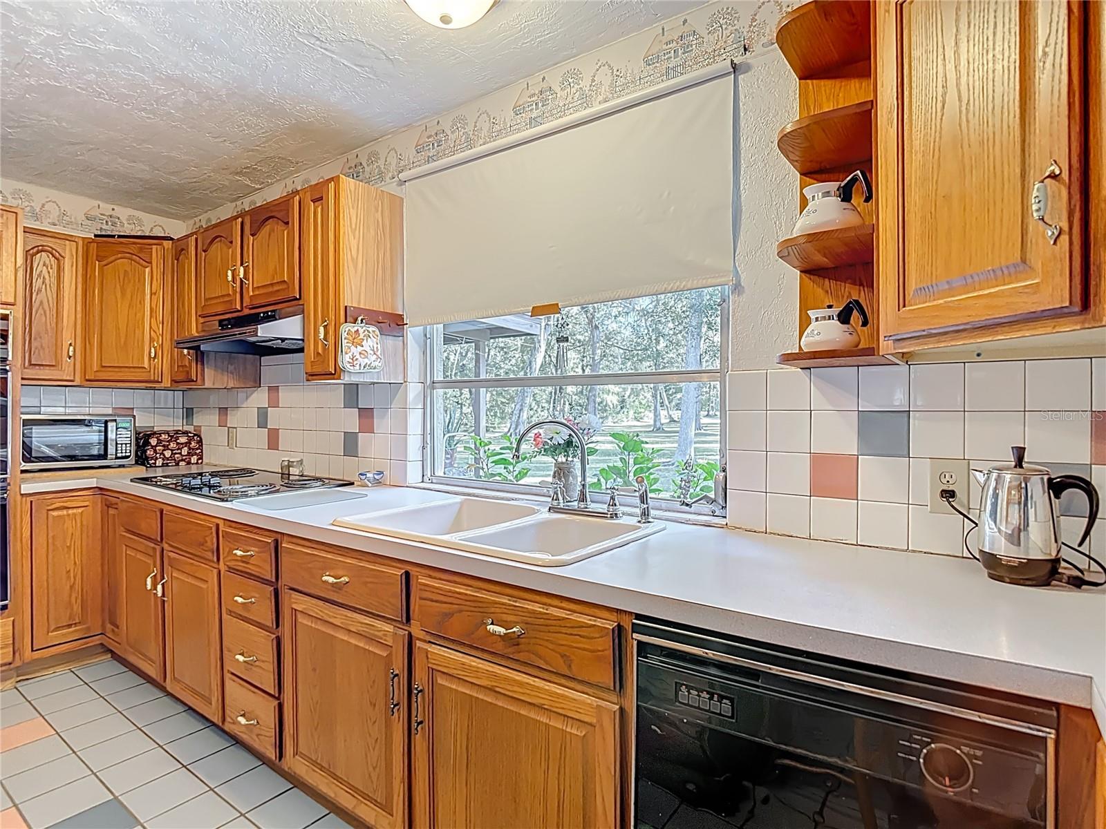 25007 HOLDEN DR, BROOKSVILLE, FL, 34601