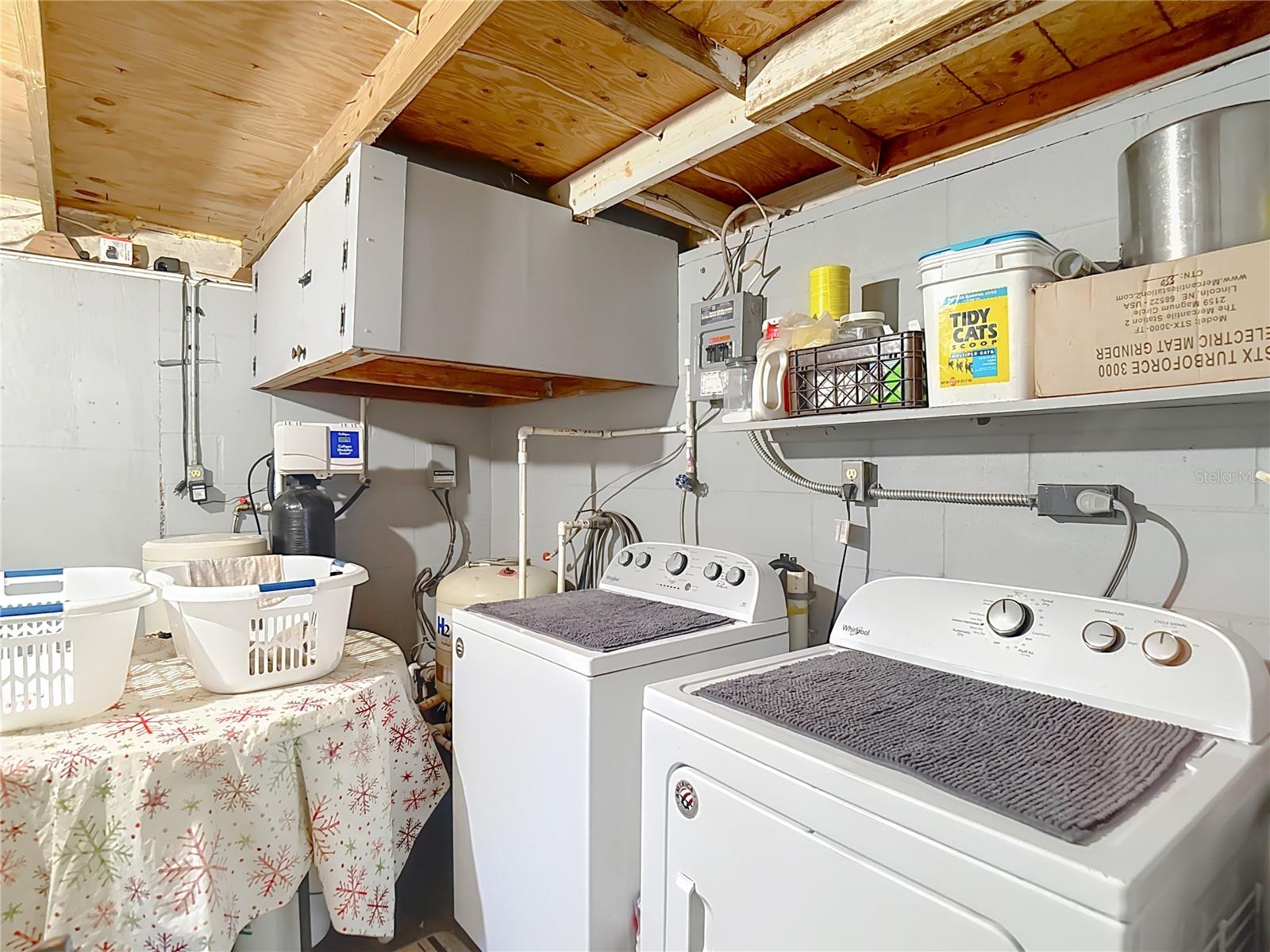 25007 HOLDEN DR, BROOKSVILLE, FL, 34601