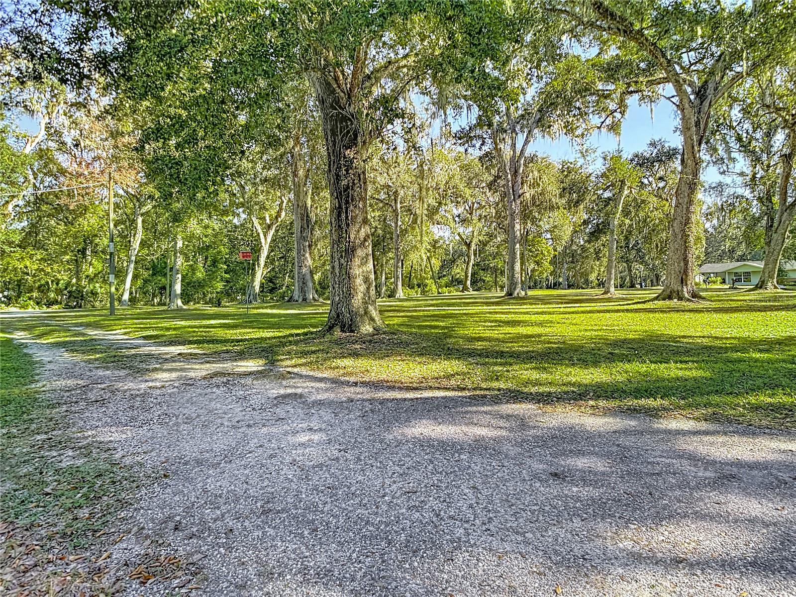 25007 HOLDEN DR, BROOKSVILLE, FL, 34601