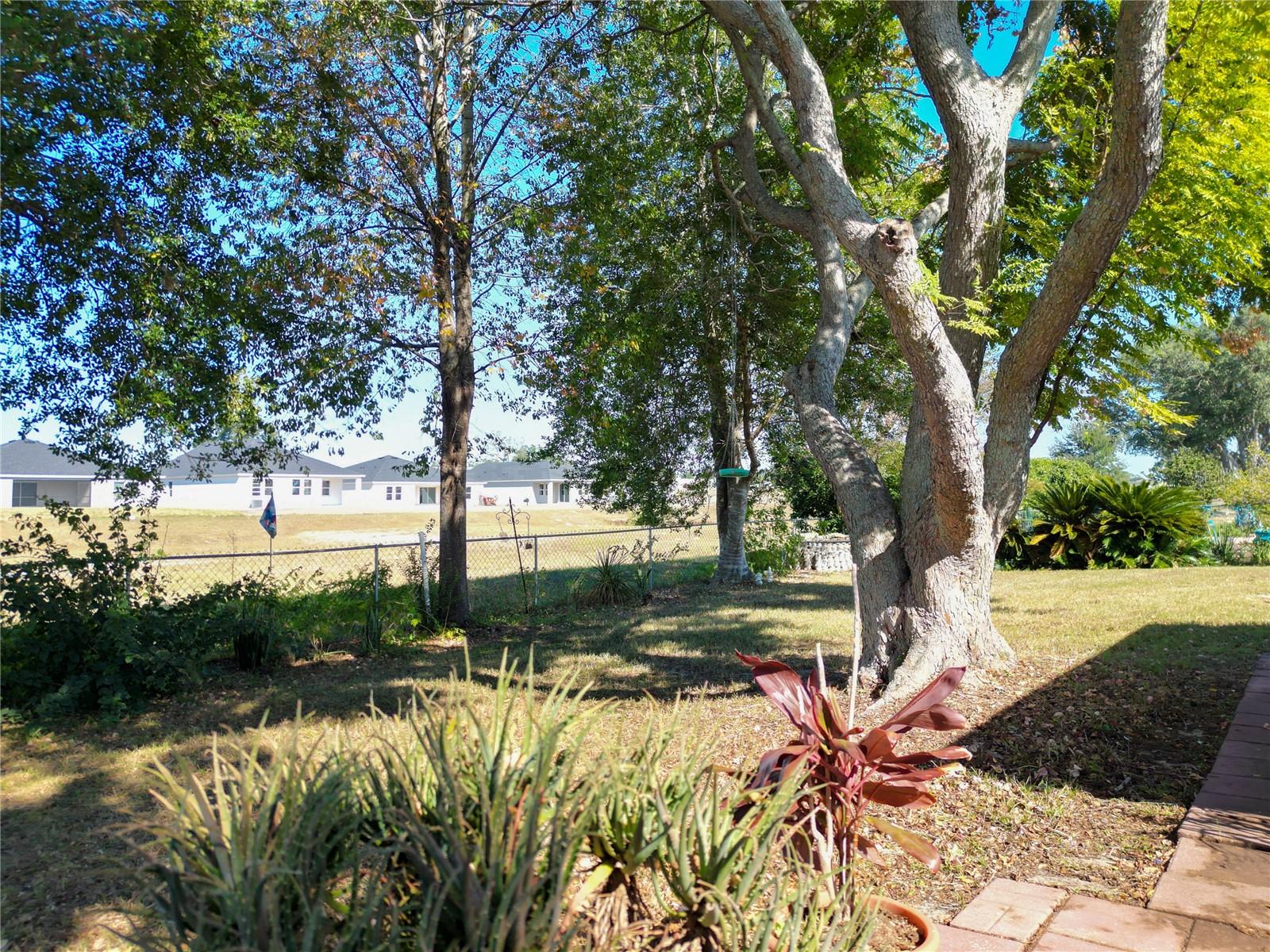 6175 SW 98TH LOOP, OCALA, FL, 34476