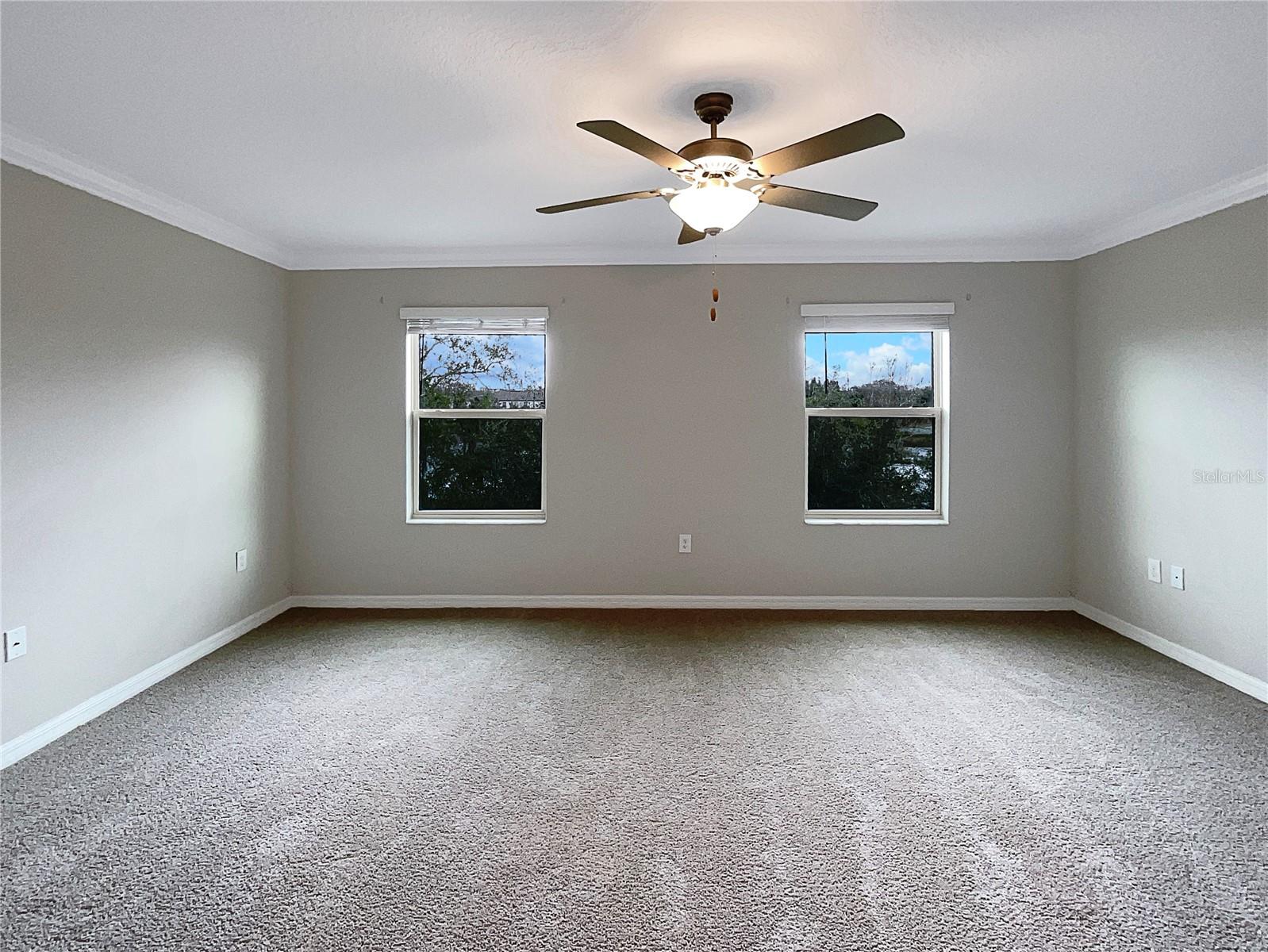 1526 CASSIUS ST, LUTZ, FL, 33549