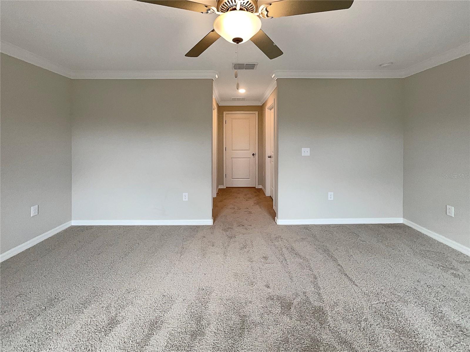 1526 CASSIUS ST, LUTZ, FL, 33549