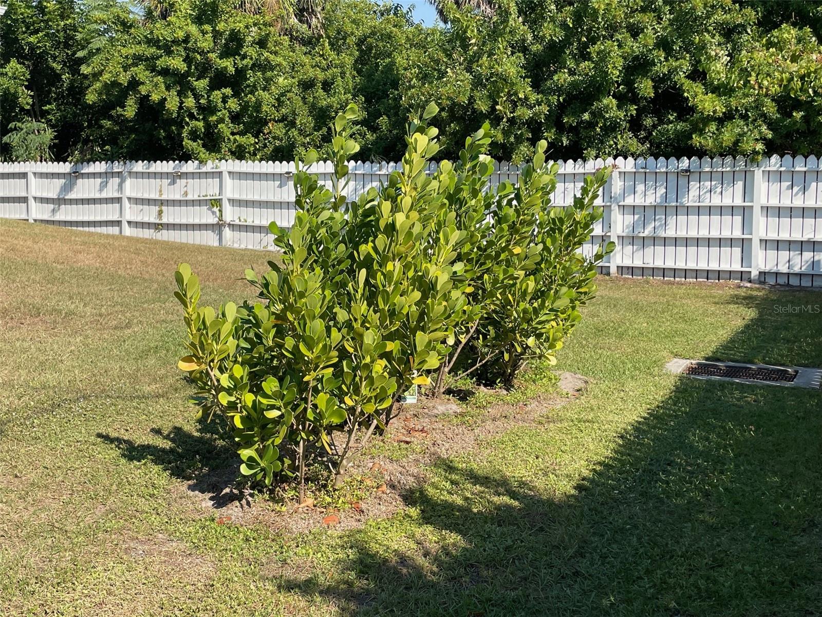 549 E TARPON BLVD NW, PORT CHARLOTTE, FL, 33952