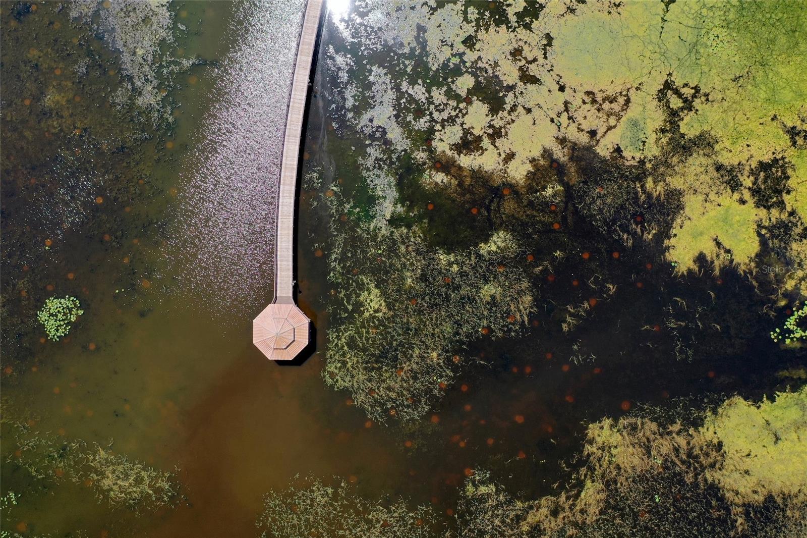 3061 AGOSTINO TER, KISSIMMEE, FL, 34746