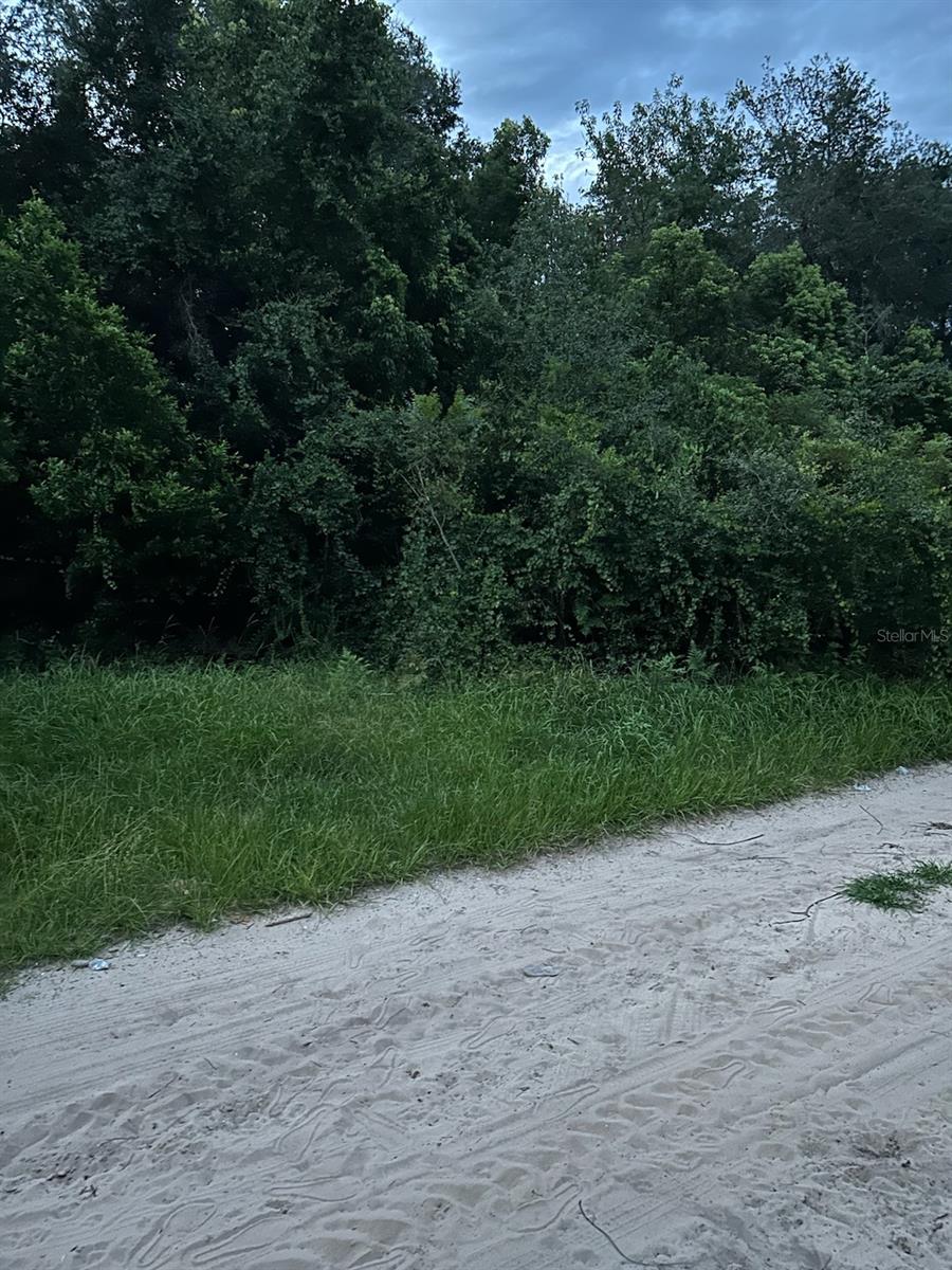 SE 135 LN, UMATILLA, FL, 32784